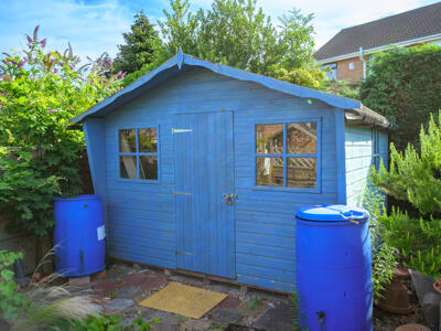 Picture 21